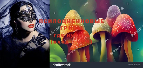 дживик Нязепетровск