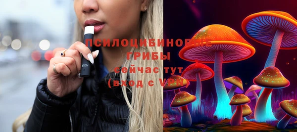 мет Осташков