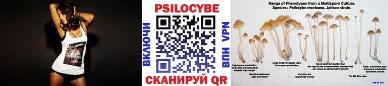 Псилоцибиновые грибы MAGIC MUSHROOMS  Ленск 