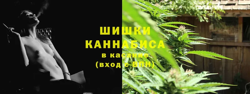 Бошки марихуана OG Kush  цены   Ленск 